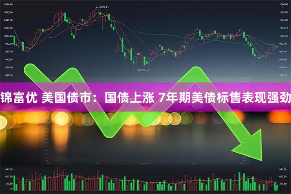 锦富优 美国债市：国债上涨 7年期美债标售表现强劲