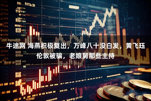 牛途网 海燕积极复出，万峰八十没白发，黄飞珏伦敦被骗，老娘舅那些主持