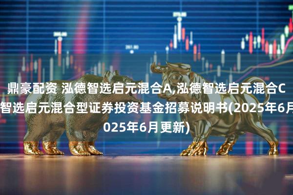 鼎豪配资 泓德智选启元混合A,泓德智选启元混合C: 泓德智选启元混合型证券投资基金招募说明书(2025年6月更新)