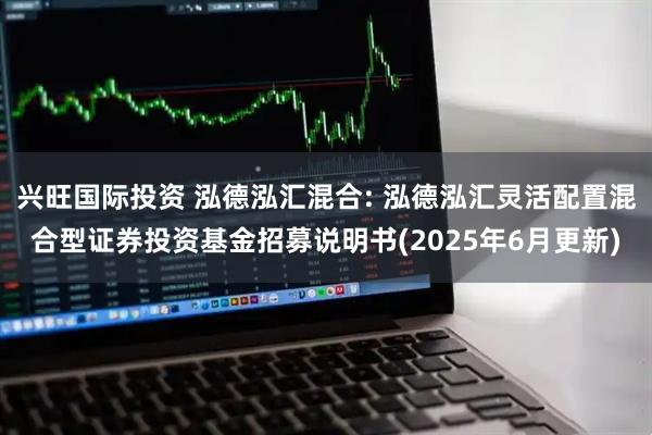 兴旺国际投资 泓德泓汇混合: 泓德泓汇灵活配置混合型证券投资基金招募说明书(2025年6月更新)