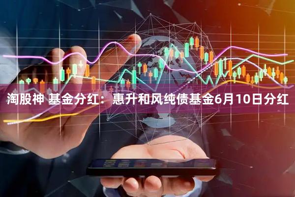 淘股神 基金分红：惠升和风纯债基金6月10日分红