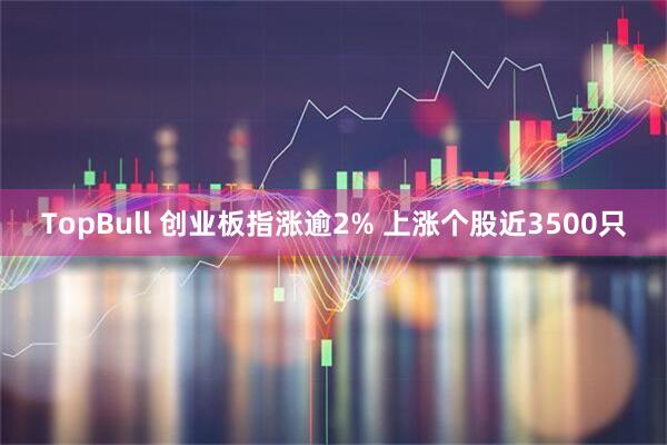 TopBull 创业板指涨逾2% 上涨个股近3500只