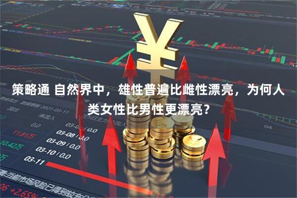 策略通 自然界中，雄性普遍比雌性漂亮，为何人类女性比男性更漂亮？