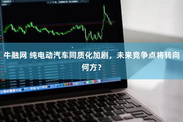 牛融网 纯电动汽车同质化加剧，未来竞争点将转向何方？