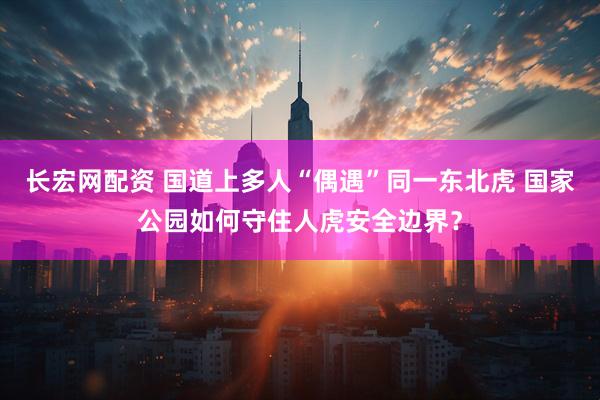 长宏网配资 国道上多人“偶遇”同一东北虎 国家公园如何守住人虎安全边界？
