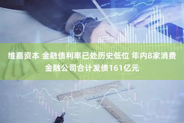 维嘉资本 金融债利率已处历史低位 年内8家消费金融公司合计发债161亿元