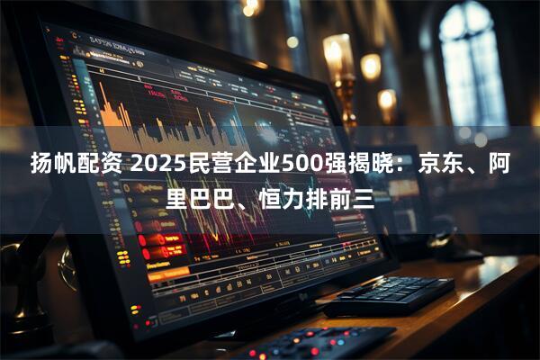 扬帆配资 2025民营企业500强揭晓：京东、阿里巴巴、恒力排前三